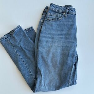 Everlane Light Blue Crop The Curvy Cheeky Jean